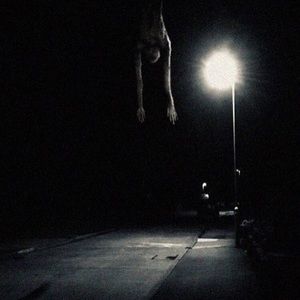 Meet your Posher, Henry